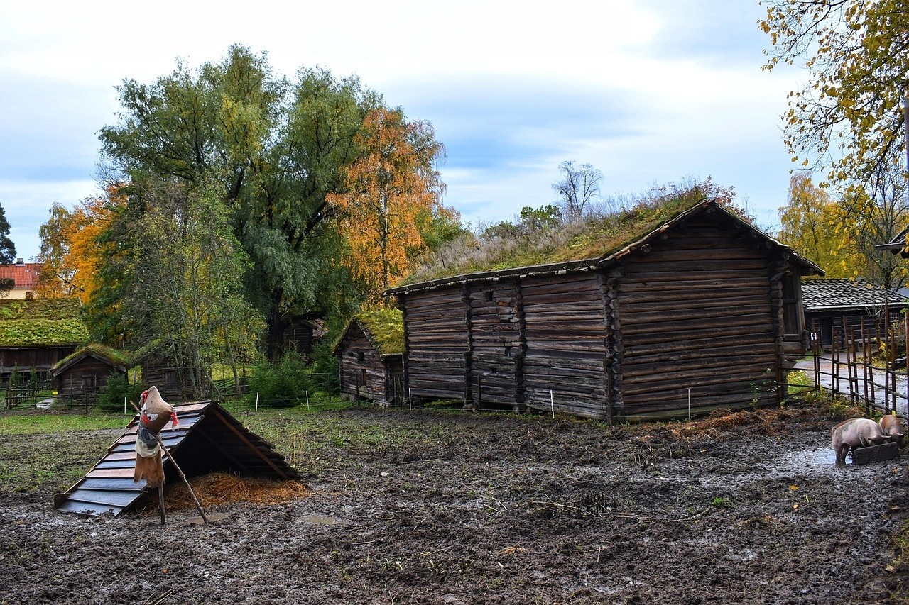 Illustrasjonsbilde for artikkel: Hvordan få skulpturerte magemuskler?