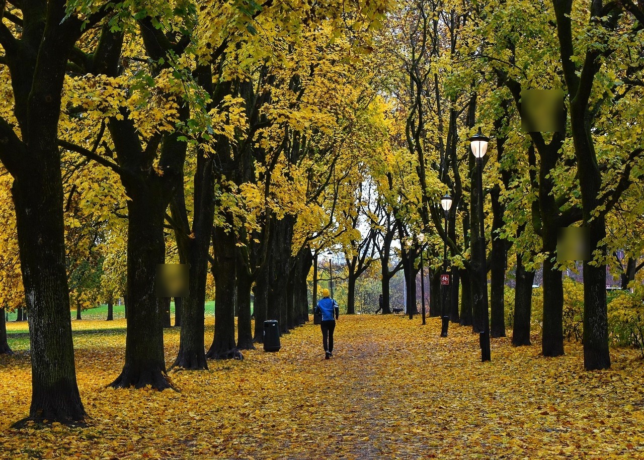 Illustrasjonsbilde for artikkel: 3 grunner til å vente 30 dager for å elske