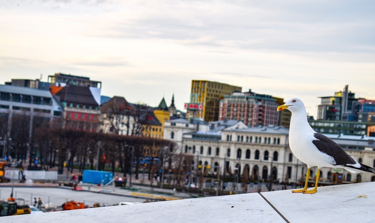 Illustrasjonsbilde for artikkel: Hvordan foreslå en One Night Stand ved tekst?