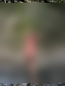 Bilde av Henrik, mann på 37 år for dating i Oslo